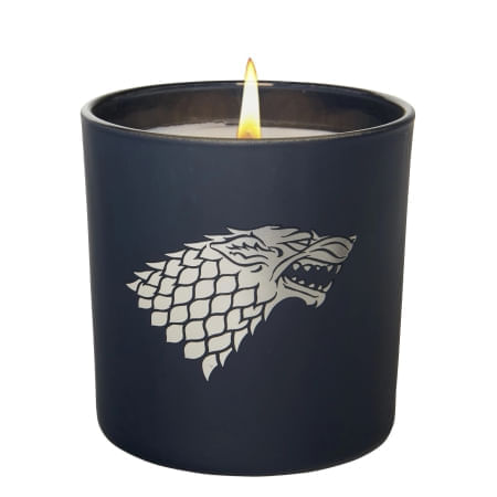 HOUSE STARK