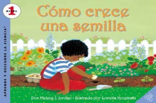 COMO CRECE UNA SEMILLA