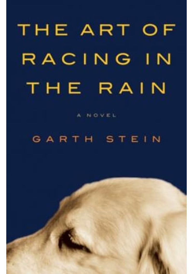 THE-ART-OF-RACING-IN-THE-RAIN