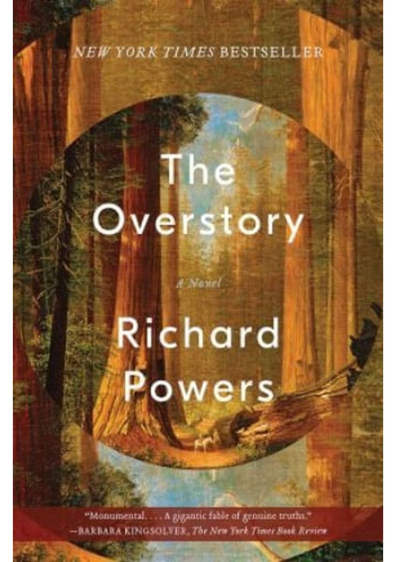 OVERSTORY