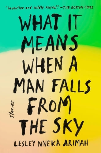 WHAT IT MEANS WHEN A MAN FALLS FROM THE SKY