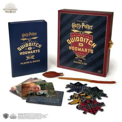 HARRY POTTER QUIDDITCH AT HOGWARTS