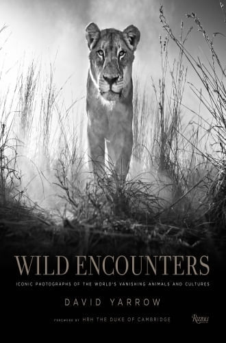WILD ENCOUNTERS