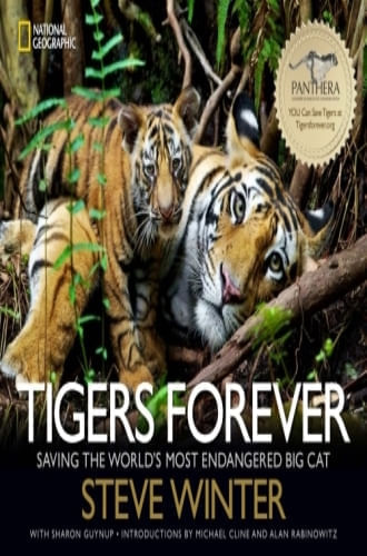 TIGERS FOREVER