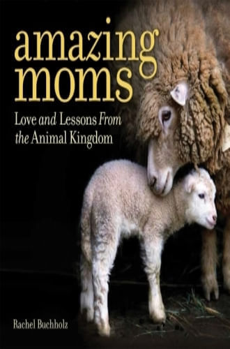 AMAZING MOMS