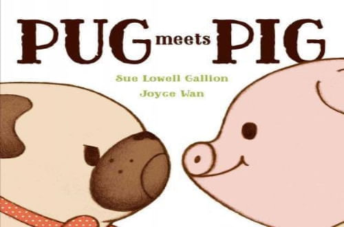 PUG MEETS PIG