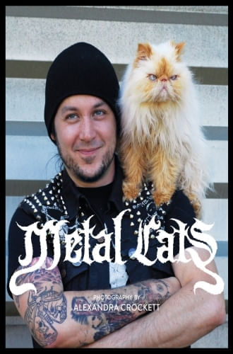 METAL CATS