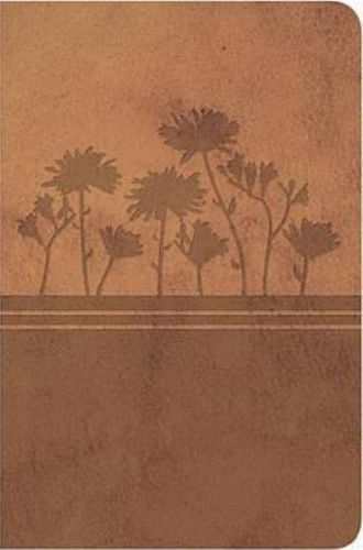BIBLIA CLASICA (REINA VALERA 1977) OCRE
