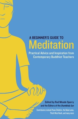 A BEGINNER'S GUIDE TO MEDITATION
