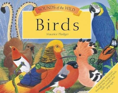 SOUNDS OF THE WILD: BIRDS