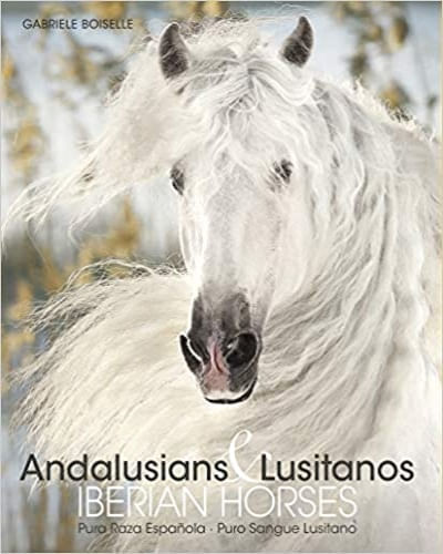 ANDALUSIANS & LUSITANOS. IBERIAN HORSES