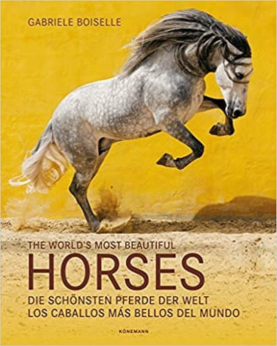 THE WORLD'S MOST BEAUTIFUL HORSES. LOS CABALLOS MAS BELLOS