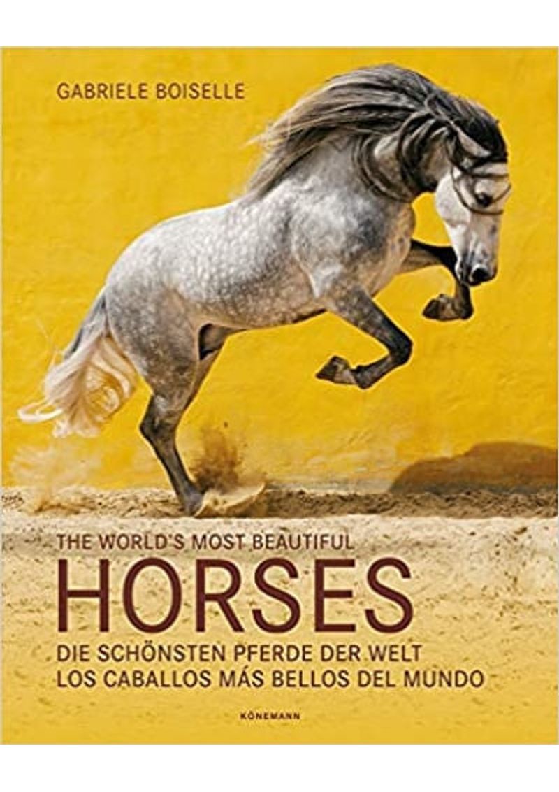 THE-WORLD-S-MOST-BEAUTIFUL-HORSES.-LOS-CABALLOS-MAS-BELLOS