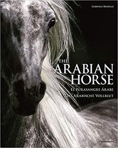 THE ARABIAN HORSE. EL PURASANGRE ARABE