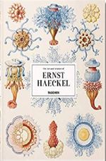 ERNST-HAECKEL