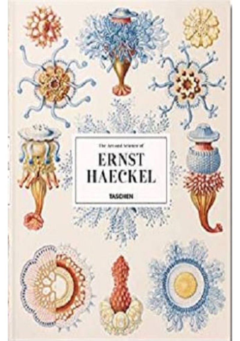 ERNST-HAECKEL