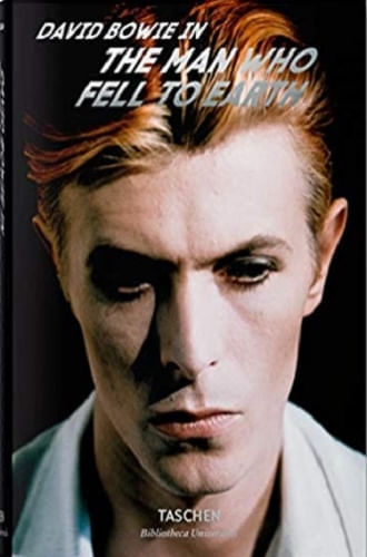DAVID BOWIE THE MAN WHO FEEL THE EARTH