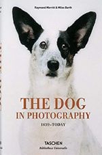 THE-DOG-IN-PHOTOGRAPHY