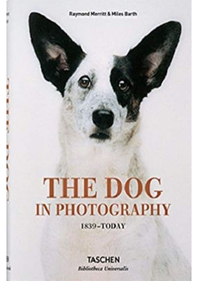 THE-DOG-IN-PHOTOGRAPHY