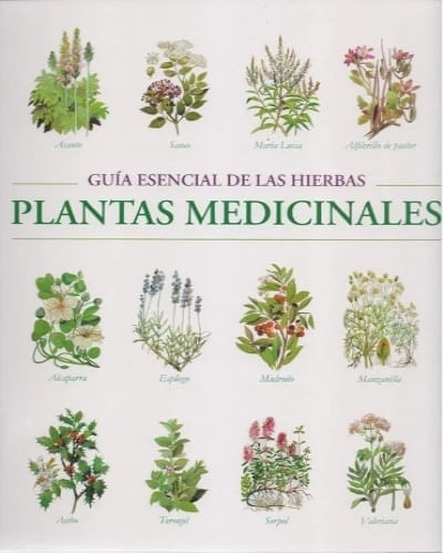 GUIA ESENCIAL DE LAS HIERBAS. PLANTAS MEDICINALES