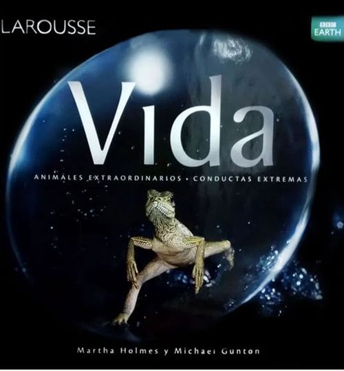 VIDA