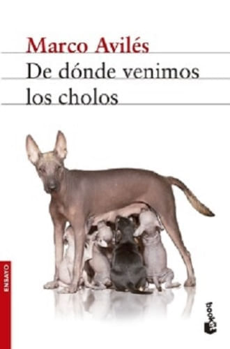 DE DONDE VENIMOS LOS CHOLOS