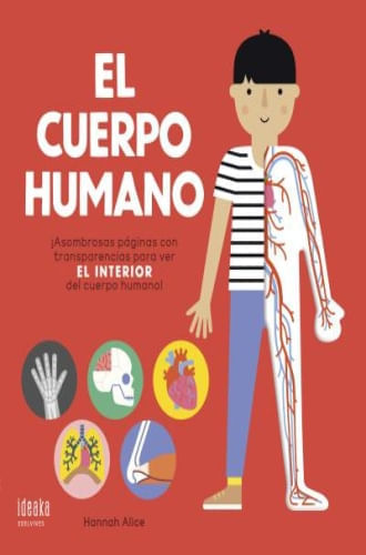 CUERPO HUMANO, EL