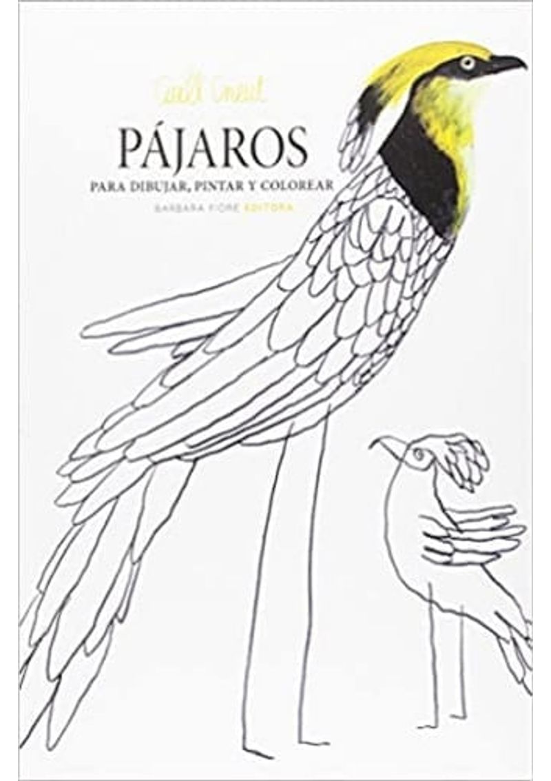 PAJAROS---PARA-DIBUJAR-PINTAR-Y-COLOREAR