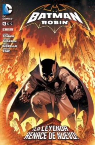 BATMAN Y ROBIN 04