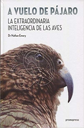 A VUELO DE PAJARO