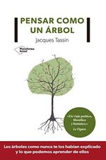 PENSAR-COMO-UN-ARBOL