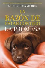 LA-RAZON-DE-ESTAR-CONTIGO.-LA-PROMESA