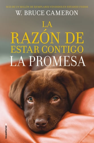 LA RAZON DE ESTAR CONTIGO. LA PROMESA