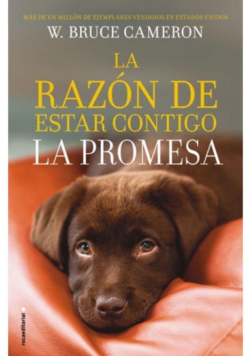 LA-RAZON-DE-ESTAR-CONTIGO.-LA-PROMESA