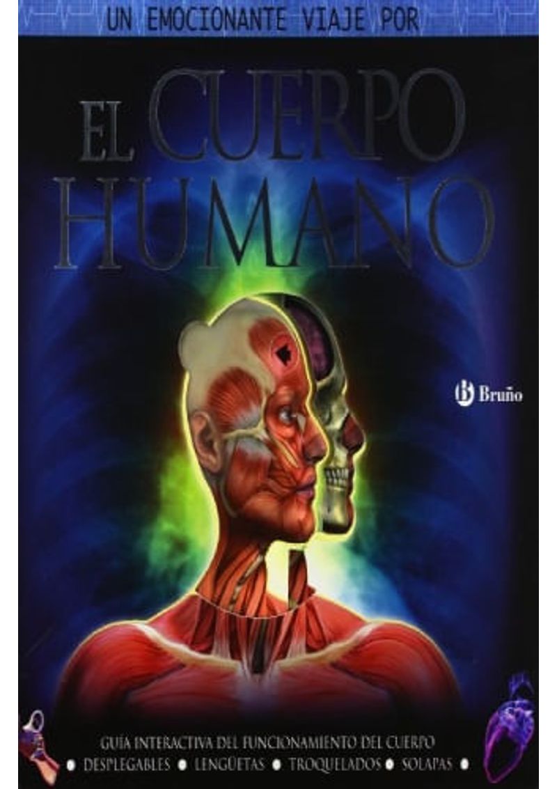 EL-CUERPO-HUMANO