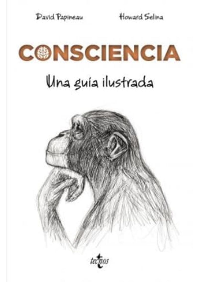 CONSCIENCIA
