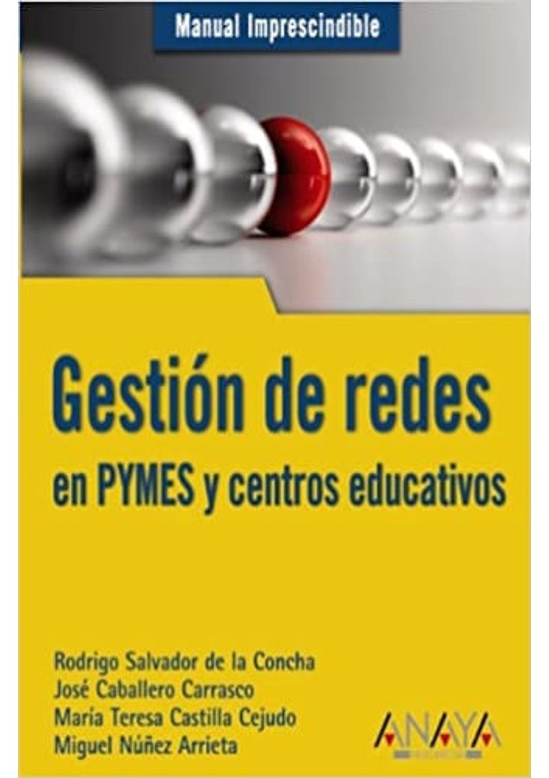 GESTION-REDES-EN-PYMES