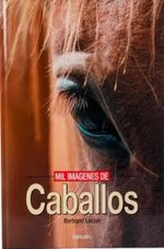 MIL-IMAGENES-DE-CABALLOS