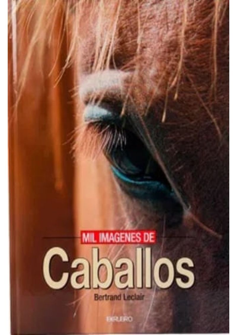 MIL-IMAGENES-DE-CABALLOS