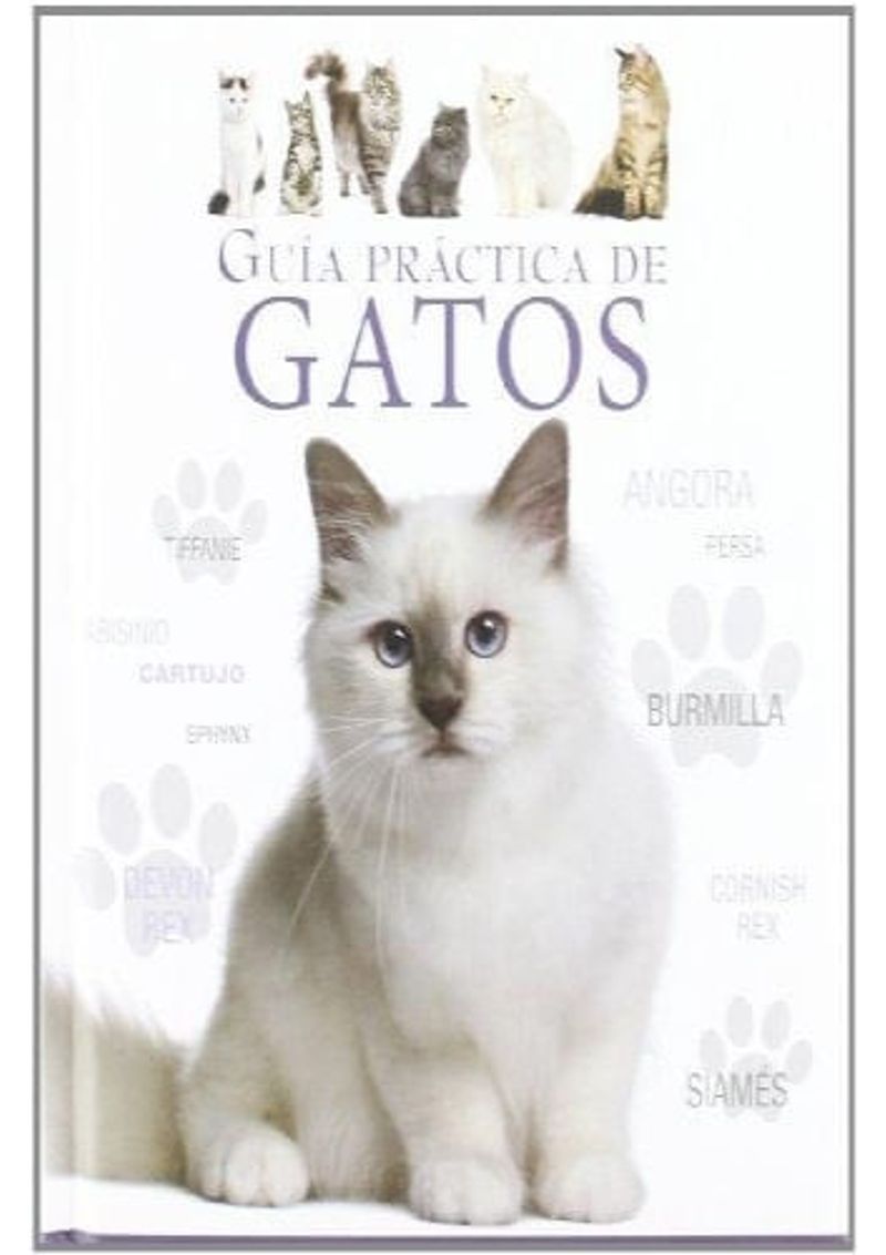 GUIA-PRACTICA-DE-GATOS