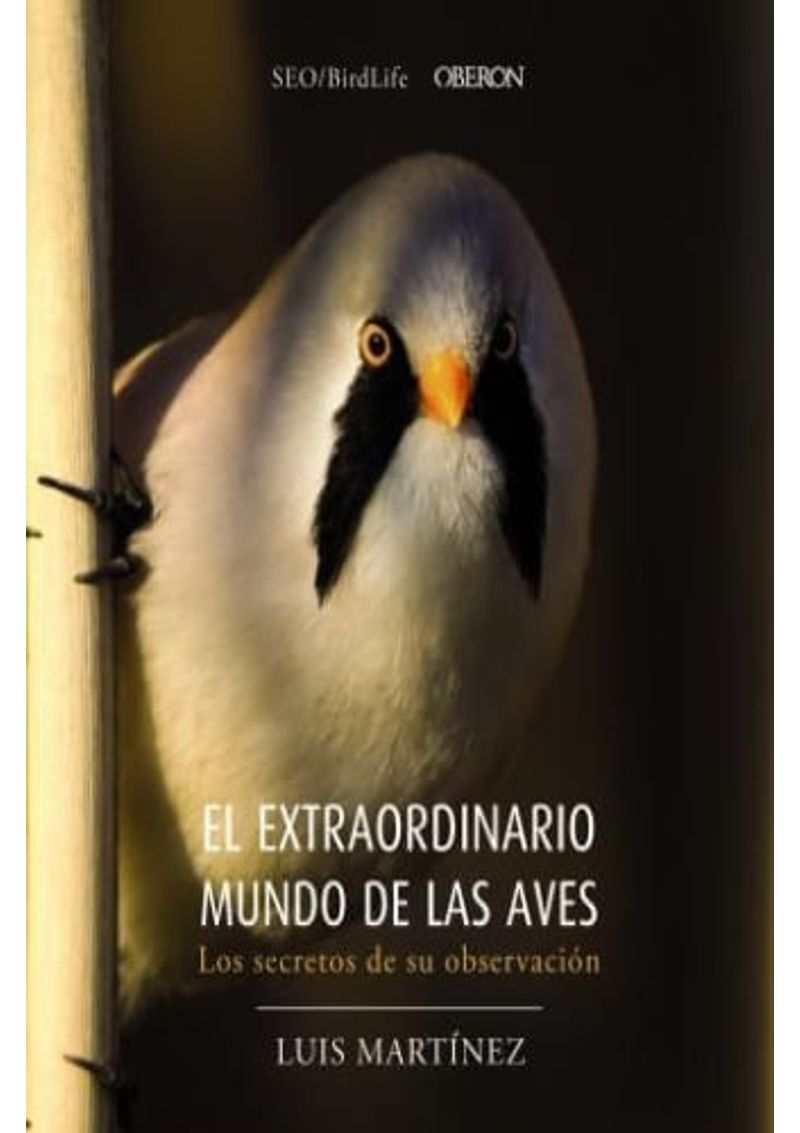 EL-EXTRAORDINARIO-MUNDO-DE-LAS-AVES---LOS-SECRETOS-DE-SU-OBSERVACION