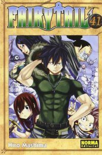 FAIRY TAIL 41
