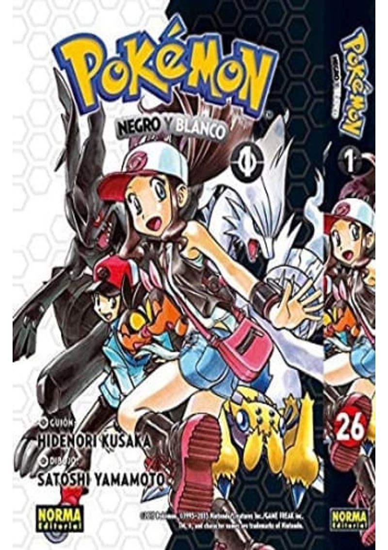 POKEMON-26---NEGRO-Y-BLANCO-01