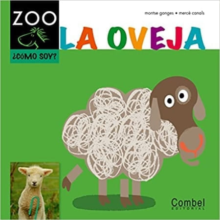 CABALLO ZOO - LA OVEJA