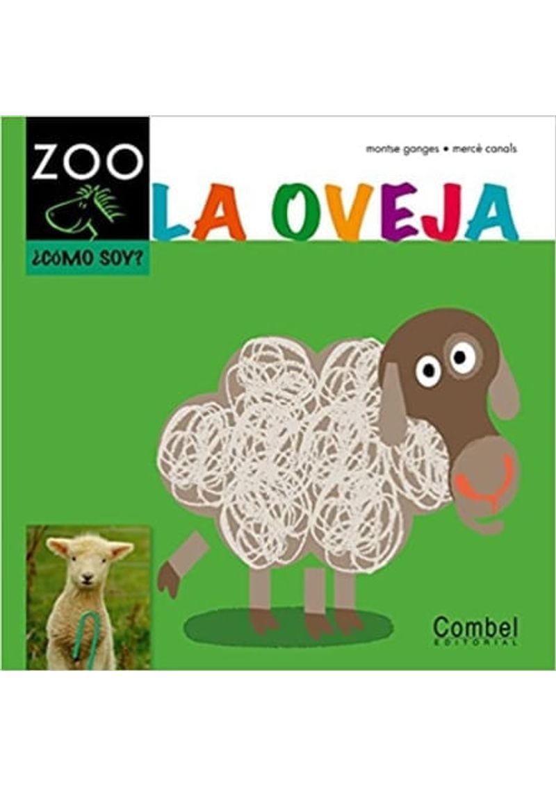CABALLO-ZOO---LA-OVEJA