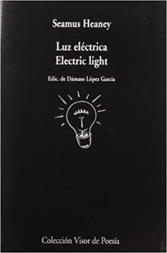 LUZ ELECTRICA. ELECTRIC LIGHT