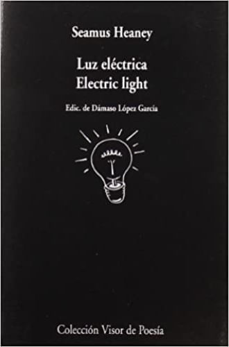 LUZ ELECTRICA. ELECTRIC LIGHT