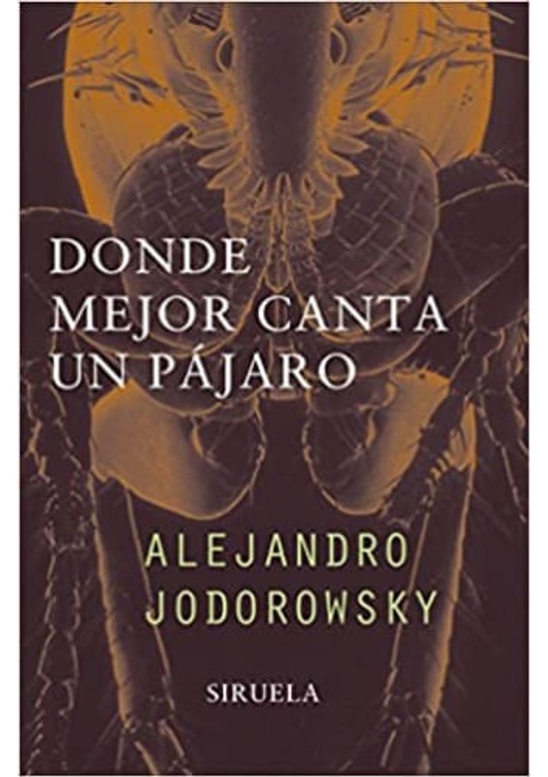 DONDE-MEJOR-CANTA-UN-PAJARO