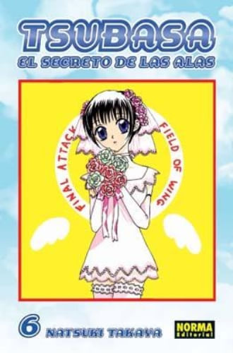 TSUBASA: EL SECRETO DE LAS ALAS 6