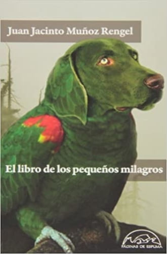 EL LIBRO DE LOS PEQUEÑOS MILAGROS